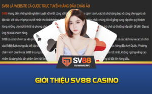 Giới thiệu về nhà cái SV88