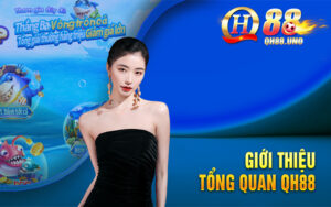 Đánh giá QH88