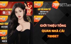 Giới Thiệu Tổng Quan Nhà Cái 789Bet